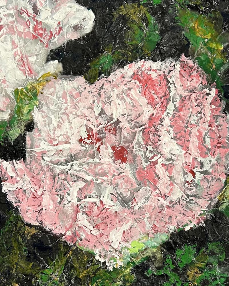 Pivoine